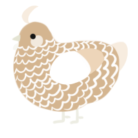 A beige and cream chicken with a lace pattern