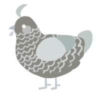 A ash and silver chicken with a lace pattern