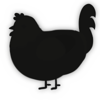 A black chicken with a head pattern