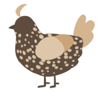 A bark and beige chicken with a speckle pattern