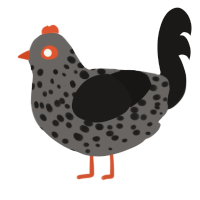 A grey and sable chicken with a speckle pattern