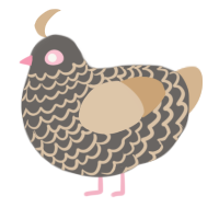 A grey and beige chicken with a lace pattern