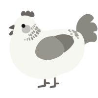 A white and ash chicken with a neck-band pattern