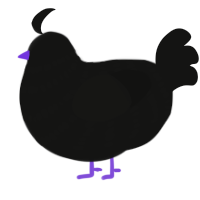 A black chicken with a bar pattern