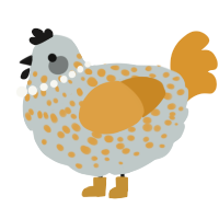 A silver and orange chicken with a speckle pattern