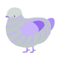 Lavander, a silver and lilac chicken with a bar pattern