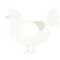 A white chicken with a lace pattern