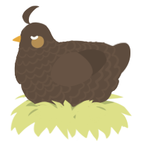 A bark chicken with a lace pattern