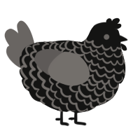 A black and grey chicken with a lace pattern