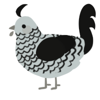 A silver and black chicken with a lace pattern