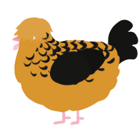A orange and black chicken with a half-lace pattern