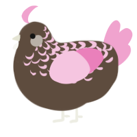 A bark and pink chicken with a half-lace pattern