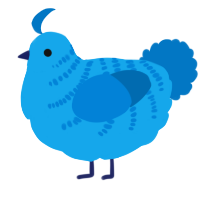 A sky and sapphire chicken with a half-bar pattern