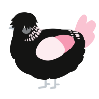 A black and rose chicken with a neck-band pattern