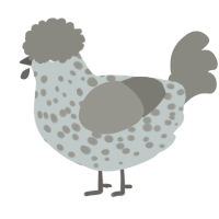 A silver and ash chicken with a speckle pattern