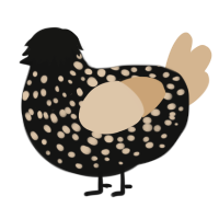 A black and beige chicken with a speckle pattern