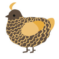 A bark and honey chicken with a lace pattern