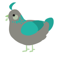 A ash and turquoise chicken with a neck-speckle pattern