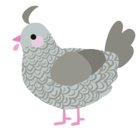 A silver and ash chicken with a double-lace pattern