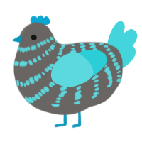 A grey and aqua chicken with a bar pattern
