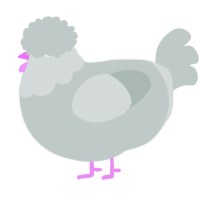 A silver chicken with a head pattern