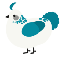 A white and sea chicken with a neck-speckle pattern