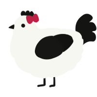 A white and black chicken