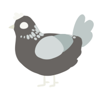A grey and silver chicken with a neck-speckle pattern