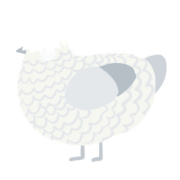 A white and mist chicken with a lace pattern