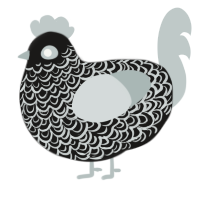 A sable and silver chicken with a double-lace pattern