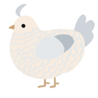 A cream and mist chicken with a lace pattern