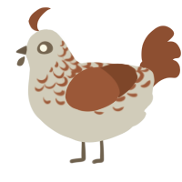 Fir, a silver and russet chicken with a half-lace pattern