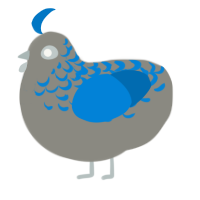 A ash and sapphire chicken with a half-lace pattern