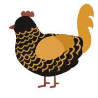 A sable and orange chicken with a lace pattern