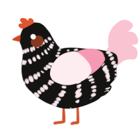 Enoch, a black and rose chicken with a bar pattern