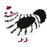 A white and black chicken with a bar pattern