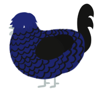 A navy and black chicken with a lace pattern