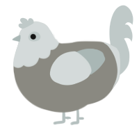 A ash and silver chicken with a head pattern