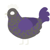 A grey and overcast chicken with a speckle pattern