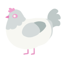 A white and silver chicken with a head pattern