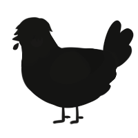 A black chicken with a head pattern