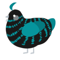 A sable and teal chicken with a bar pattern