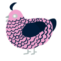 (unnamed), a pink and tumblr chicken with a lace pattern