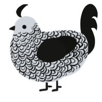 A mist and black chicken with a double-lace pattern
