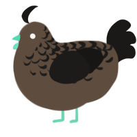 A bark and sable chicken with a half-lace pattern
