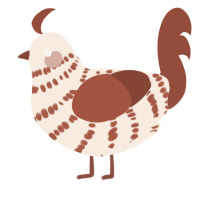 A cream and russet chicken with a bar pattern