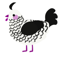 A white and black chicken with a lace pattern