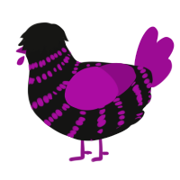 A black and plum chicken with a bar pattern