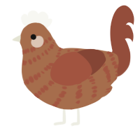 A brown and russet chicken with a bar pattern