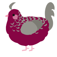 A maroon and ash chicken with a half-lace pattern